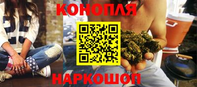 СК Дубна