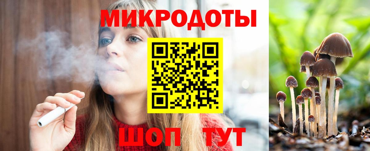 Псилоцибиновые грибы Cubensis  Вход с VPN  Малоярославец 