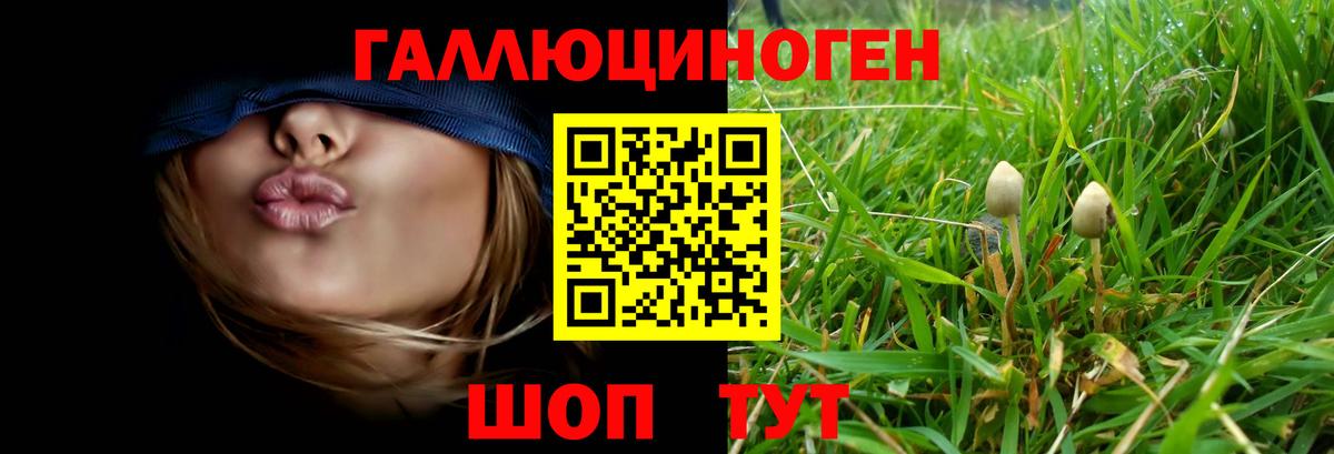 Галлюциногенные грибы GOLDEN TEACHER Малоярославец