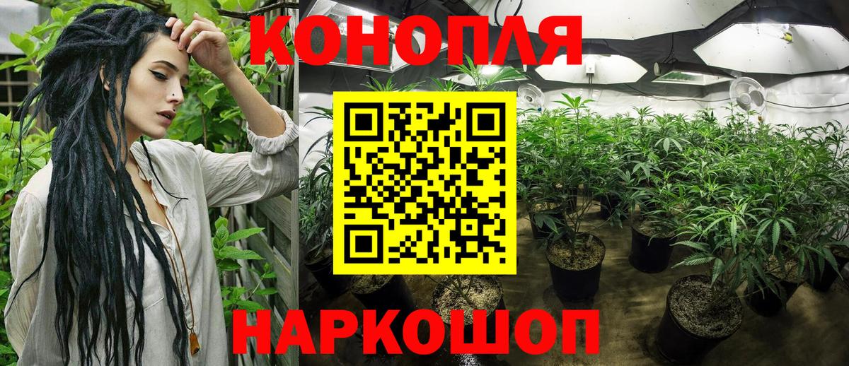 МАРИХУАНА планчик Малоярославец